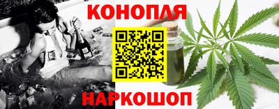 ECSTASY Гай