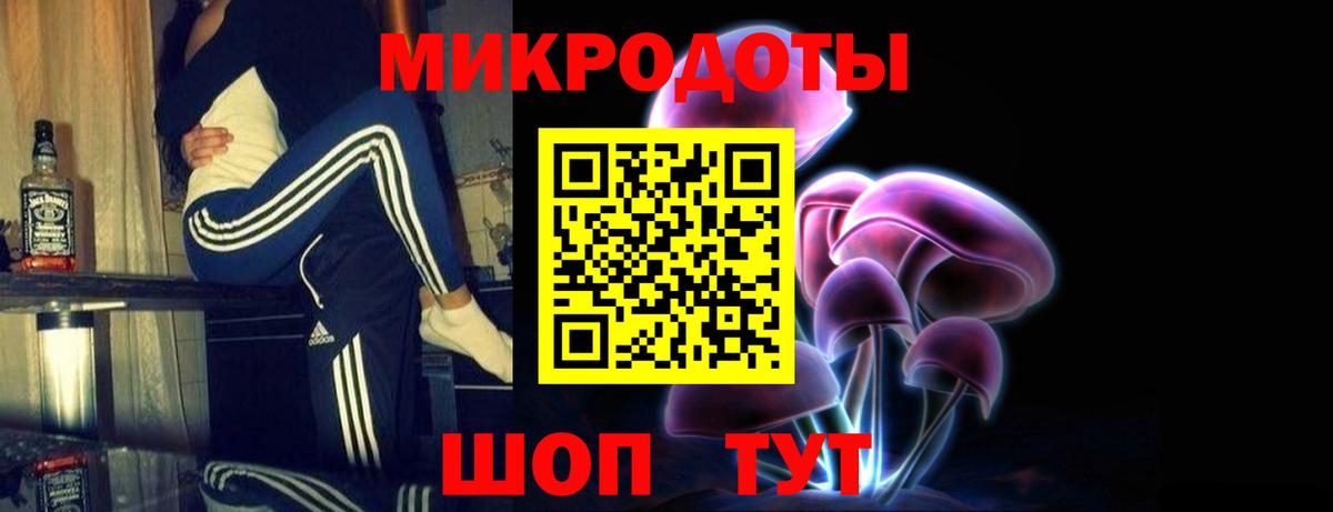 Нальчик  Галлюциногенные грибы Psilocybine cubensis  Вход с VPN 